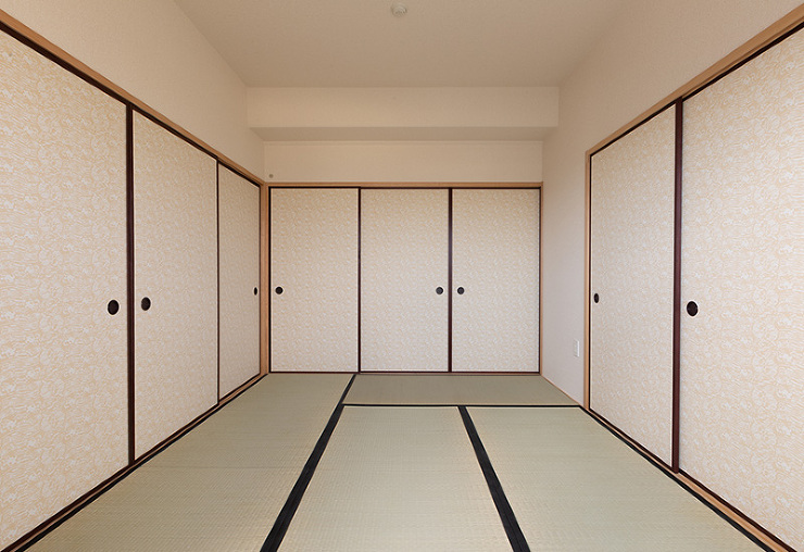 写真：