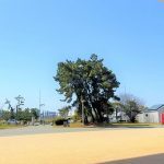 中古住宅再生に関する記事一覧 | 株式会...