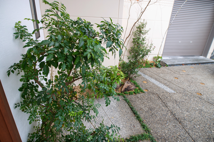 Y-SQUARE＋（増築） ｜ ACTI...