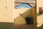 ACTIVE DESIGN Works ...