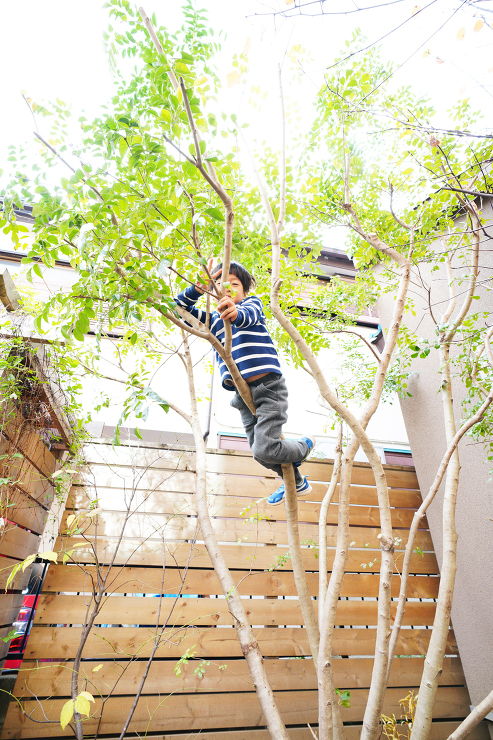 もうすぐクリスマス！離れのある家♪ | ...