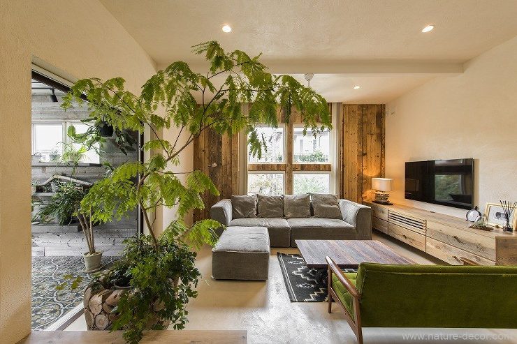 ボタニカル・ライフ | ネイチャー・デコ...