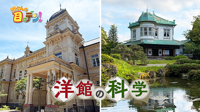 所さんの目がテン!　洋館の科学