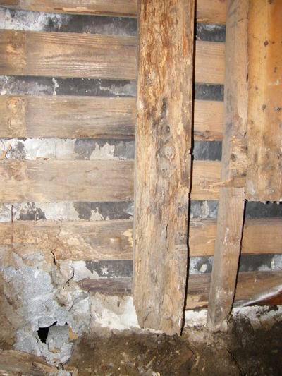 シロアリ大丈夫ですか?水廻りの改修: 川崎市の設計事務所?日常あれこれ