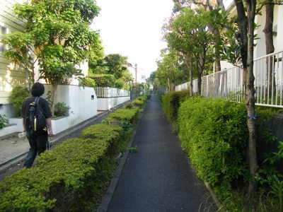 “湘南ライフタウン”を歩いてきました。: 川崎市の設計事務所?日常あれ...