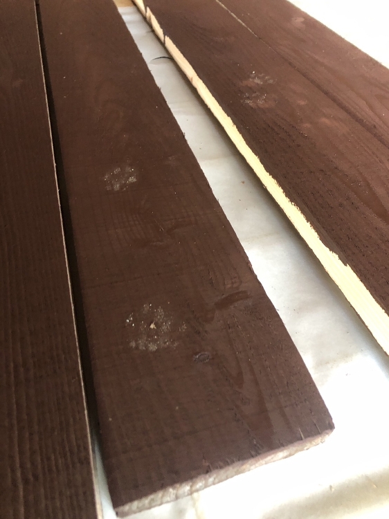 猫ちゃんと建築あるある | アクアプラス