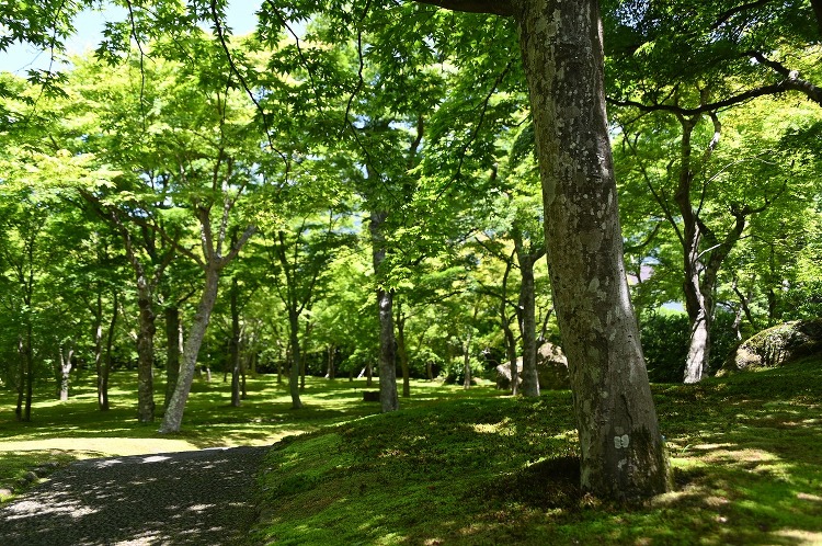 「箱根美術館」見学報告 5/29 | 熱海をブルーノ タウト・日本のメ...