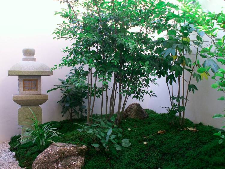 坪庭のある暮らし、その9例！ | 注文住宅や動物病院、他諸施設について...
