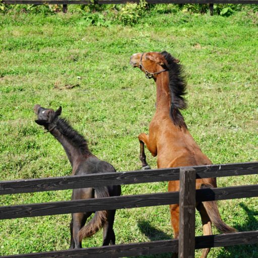 アウラ建築設計事務所