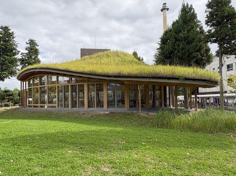 小径木をプレカットして組み上げた緑の丘、郡山市の日本大学工学部にロハス...