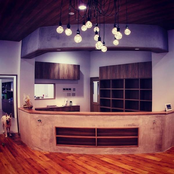 ALLONE動物医療センター 動物病院 [みなみ野] 店舗デザイン.C...