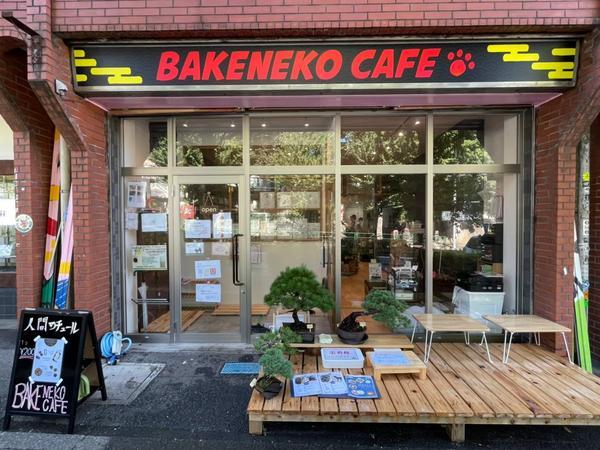 BAKENEKO CAFE 猫カフェ [西早稲田] 店舗デザイン.CO...