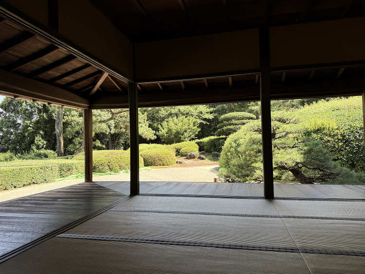 【建築の豆知識】庭と暮らす、豊かな春の『引き算』の美学 - 建築設計事...