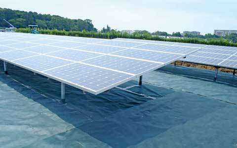 メガソーラーの防草、雑草対策 | 株式会社グリーンフィールド