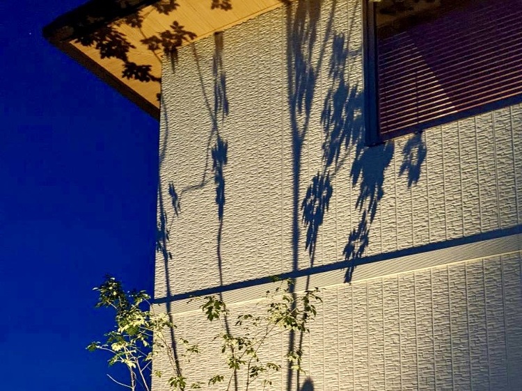 夜を最大限に愉しむ、植栽のライティング |ブログ|株式会社ノエルnew...