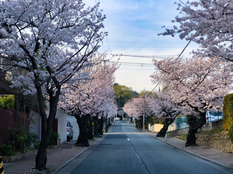 4月 - 石川友博建築設計事務所 -