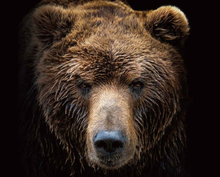 関西仮設株式会社