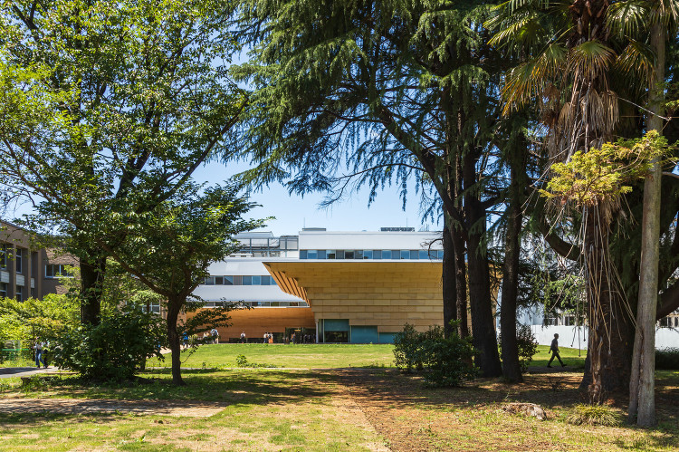 国際基督教大学 トロイヤー記念アーツ・サイエンス館 | 隈研吾建築都市...
