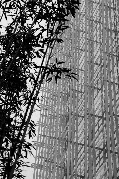 Hyatt Centric Gaoxin Xian | Kengo K...