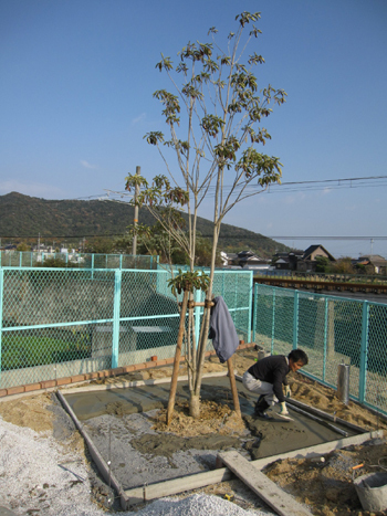 山口県 宇部市 O様邸 常緑広葉樹! : 毎年受賞歴多数!外構専門店サ...