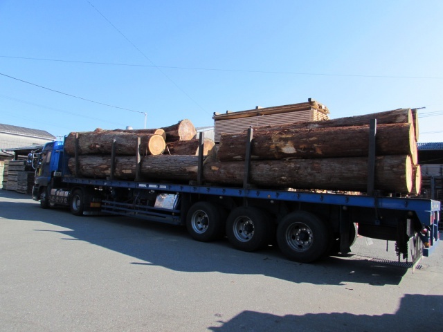 杉（スギ）丸太18本入荷しました | 原木 | 高田製材所ブログ | ...