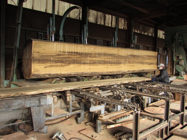 新種 リンバ(ホワイトリンバ・コリーナ)原木製材 | 無垢材 | 高田...