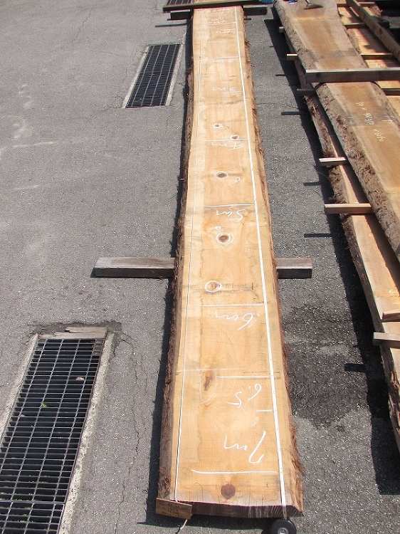 檜（ヒノキ）和食店カウンター | 一枚板 | 高田製材所ブログ | 高...