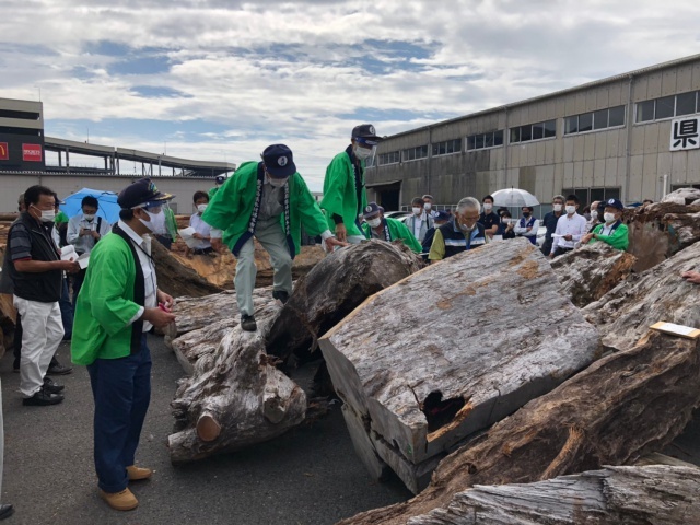 超貴重!屋久杉の入札 | 原木 | 高田製材所ブログ | 高田製材所