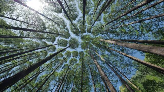 計画部門|のうぎょうとぼく