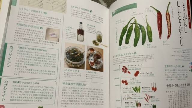 農業｜のうぎょうとぼく