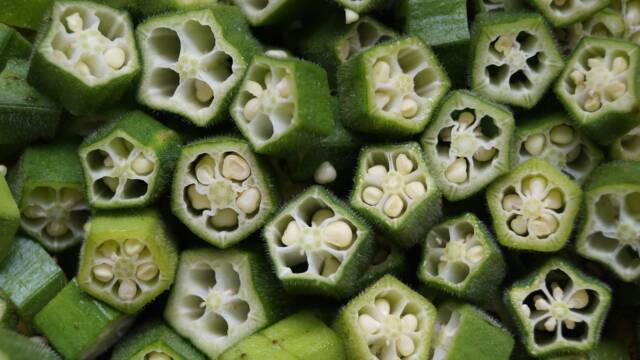 農産物|のうぎょうとぼく