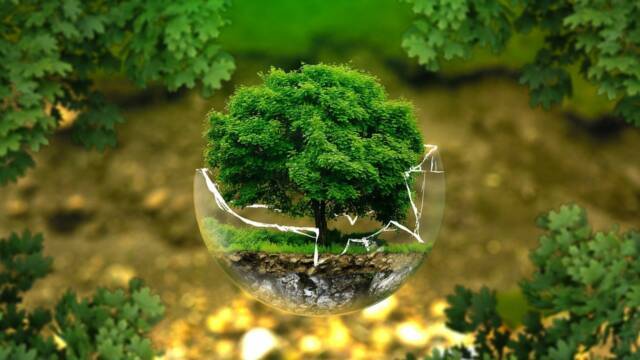 ビオトープ論論|のうぎょうとぼく