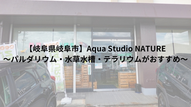 【岐阜県岐阜市】Aqua Studio NATURE?パルダリウム・水...