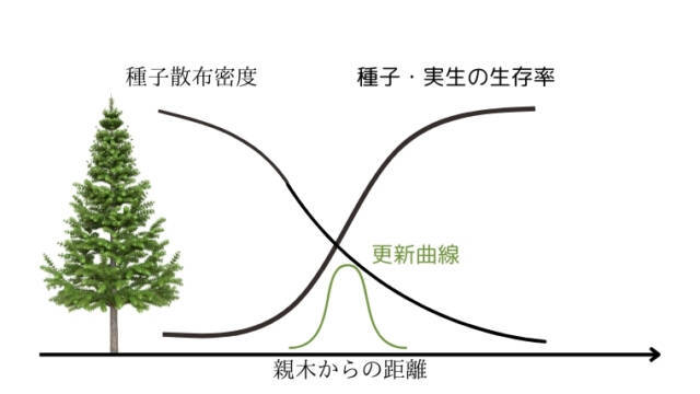 森林生態学｜のうぎょうとぼく