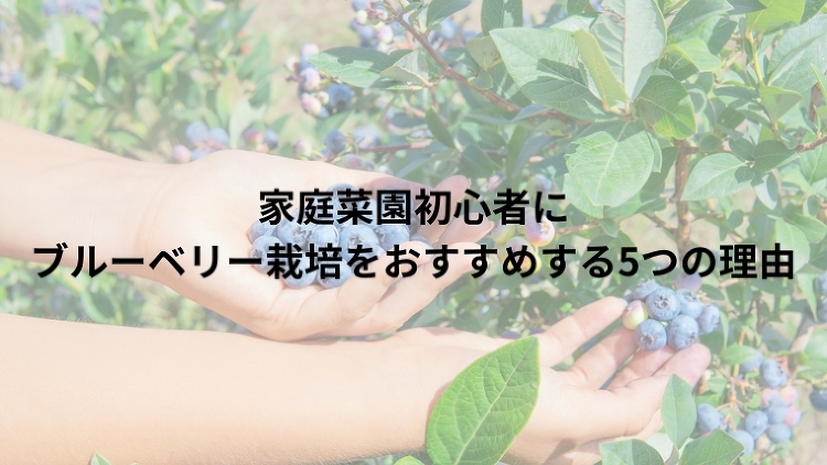 農家が教える!きつい農業バイトを避けられる5つの条件|のうぎょうとぼく