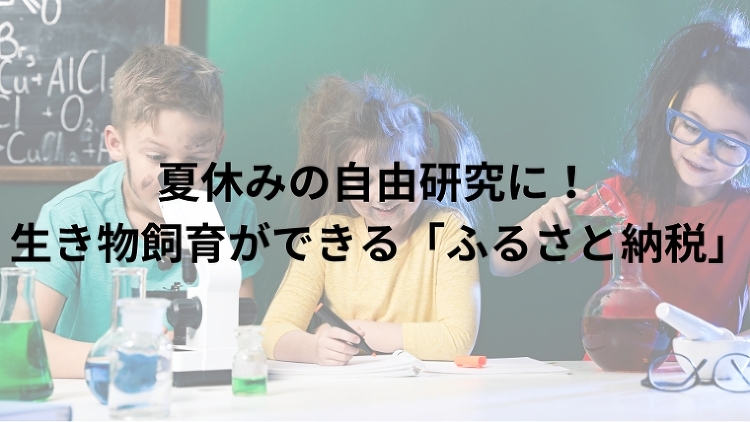 【岐阜県大垣市】コウホネと睡蓮の池「杭瀬川スポーツ公園」｜のうぎょうと...