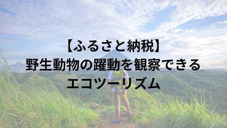 【ふるさと納税】野生動物の躍動を観察できるエコツーリズム｜のうぎょうと...