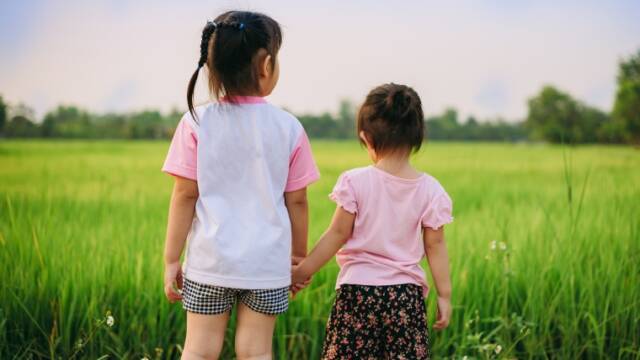 ガーデンビオトープ制作|のうぎょうとぼく