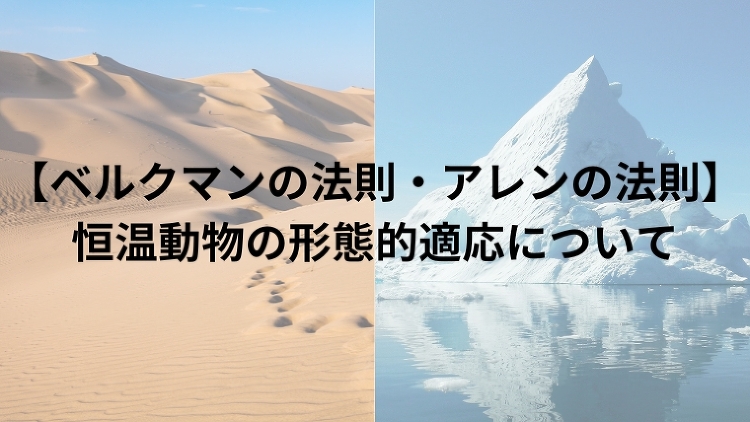 【ベルクマンの法則・アレンの法則】恒温動物の形態的適応について|のうぎ...
