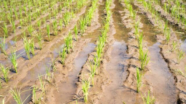 農道計画｜のうぎょうとぼく