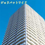 JQ-300 ジョリパットワイド- 大橋塗料【本店】通販サイト アイカ...