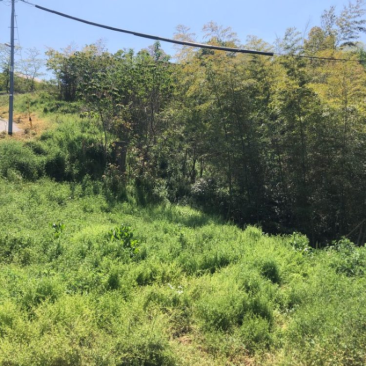 岡山市で新しいプロジェクト始動 BLOG｜安江怜史建築設計事務所｜岐阜