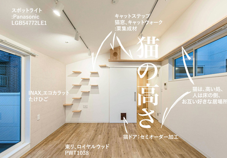 猫を飼っている方からの住宅設計依頼が増えている一級建築士事務所のその理...
