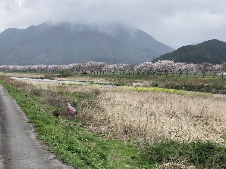 ノイズ 兵庫、京都、大阪｜良い実が、良い土から育つように。暮らしを主役...