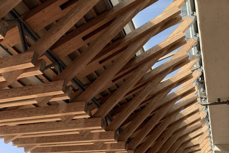 建築を体で感じる | トラス・アーキテクト｜鹿児島｜住宅｜保育園｜宿泊...