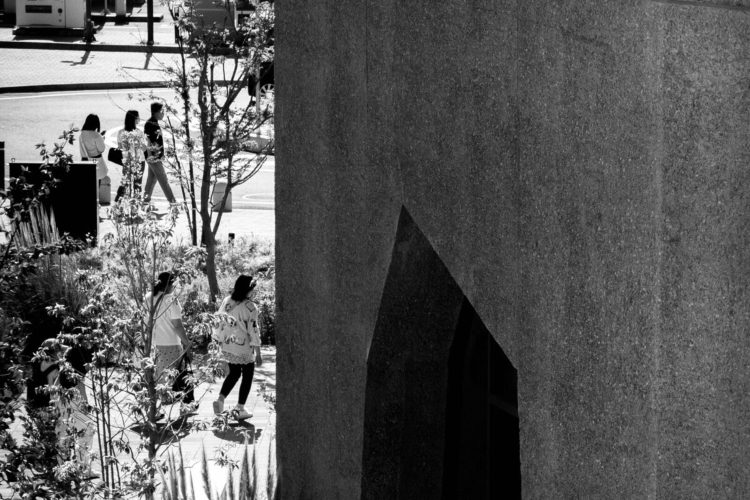 建築は風景を作る | トラス・アーキテクト|鹿児島|住宅|保育園|宿泊...