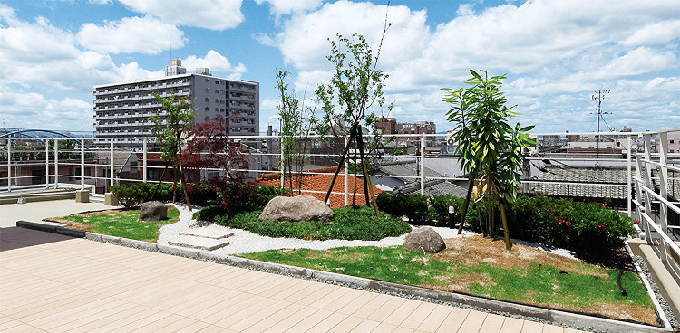 屋上緑化 | 施工事例 | 塩ビシート防水・屋上防水のアーキヤマデ株式...