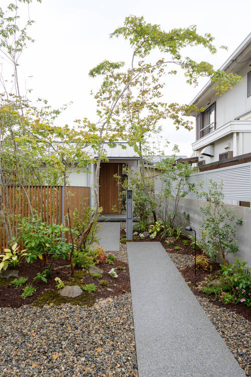 大開口の自然素材のセミコートハウス「津島福居の家」