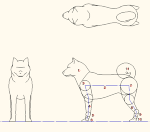 犬モデル化 点景・計画用 MPZ | CAD-DATA.com