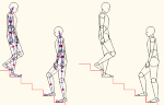 人物モデル化(成人男性階段上り下り） DXF | CAD-DATA.c...